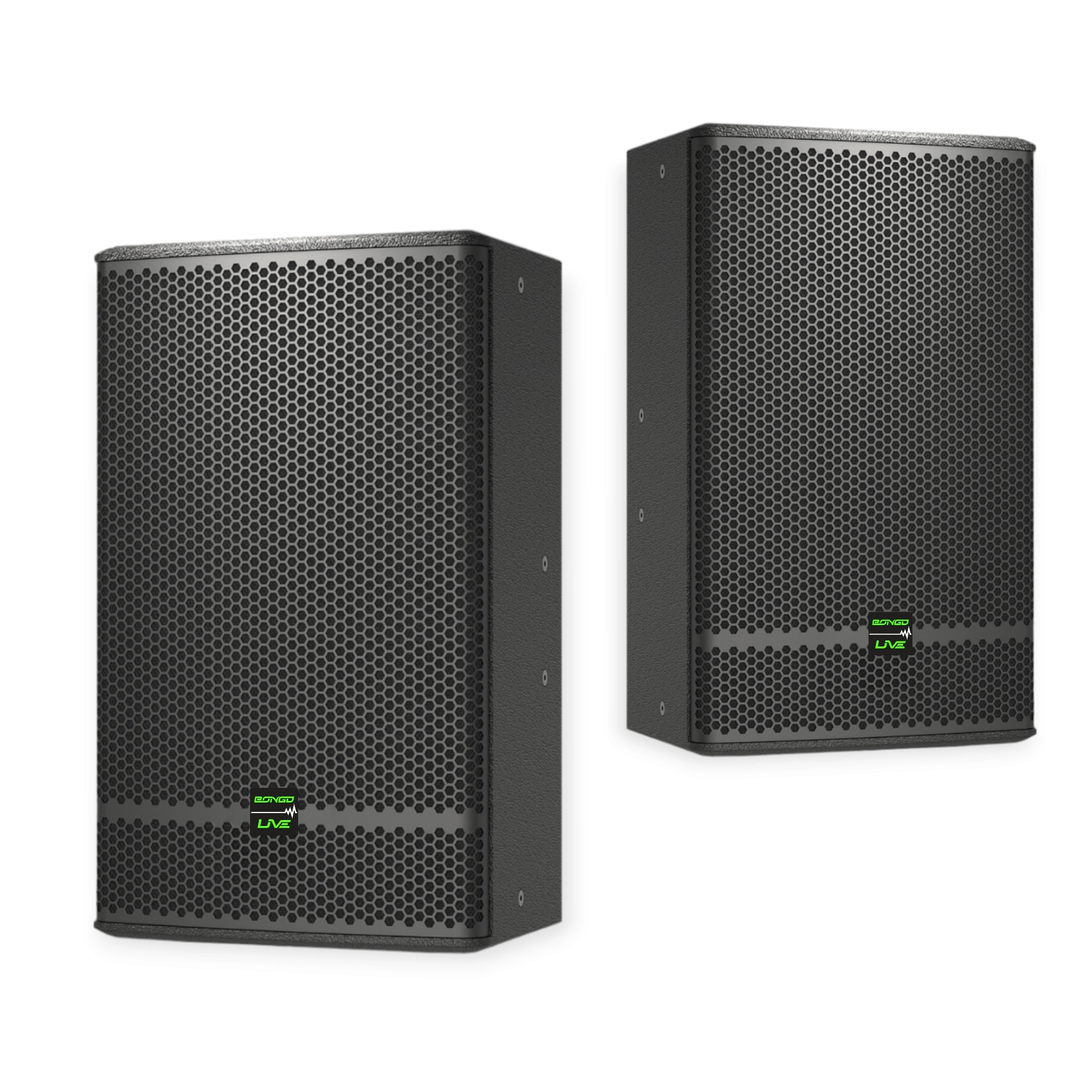 Loa full BONGO LIVE BG-12PLUS